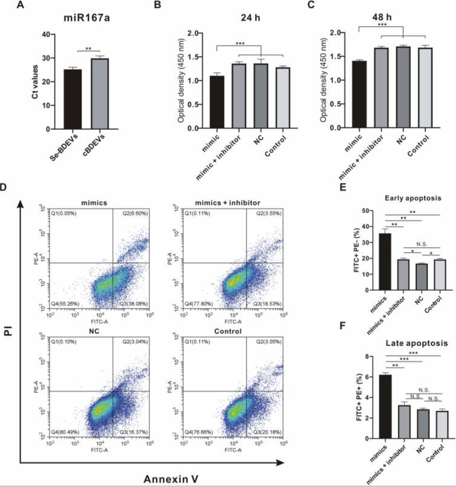 Effect of miR167a on PANC-1.